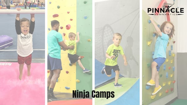 Ninja Camps