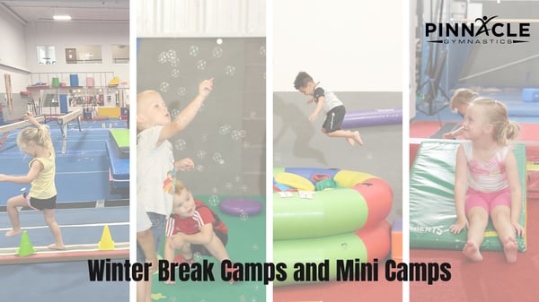 Winter Break Camps and Mini Camps